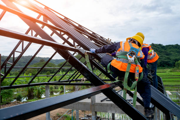 Best New Roof Installation  in Corunna, MI