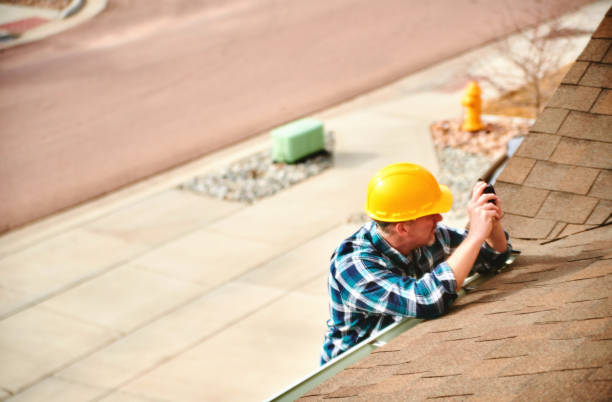 Best Roof Gutter Cleaning  in Corunna, MI