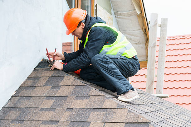 Best Local Roofing Companies  in Corunna, MI